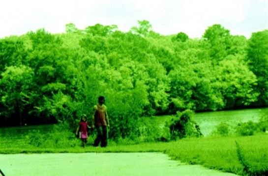 Hollis Hill Jr. - Photo 65