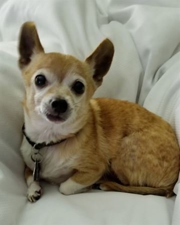 Russell Howard Self - Photo 23