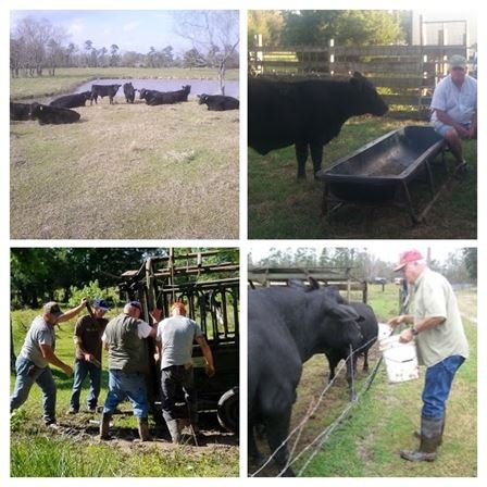 Norman Lee Bickham - Photo 90