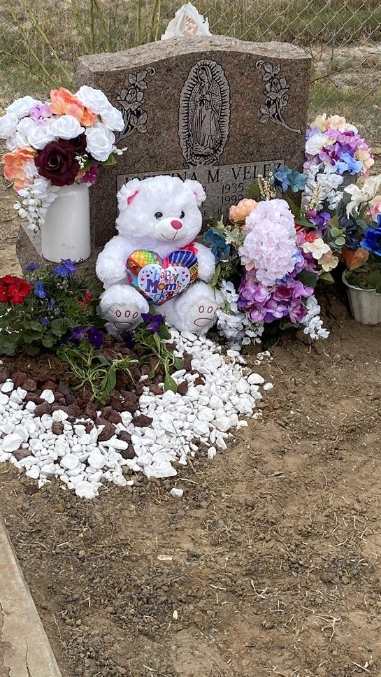 Elva Nelly Ibarra — photo 7