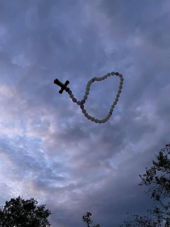 Elva Nelly Ibarra - Photo 9