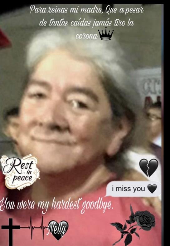 Elva Nelly Ibarra — photo 8