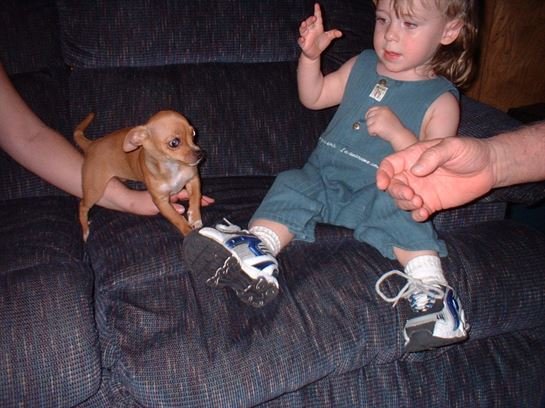 PFC Seth Dylan Sartin - Photo 240