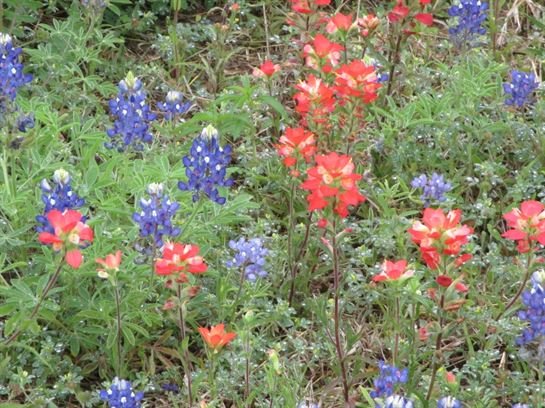 John Michael Virva, Sr. - Photo 83