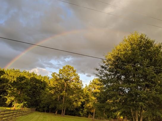 Rodney Charles Barrett — photo 93