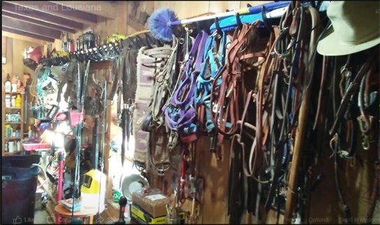 Sidney "Jimmy" Norwood - Photo 13