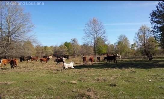 Sidney "Jimmy" Norwood - Photo 58