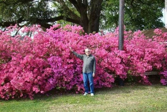 Paul Wilbert Webb - Photo 33