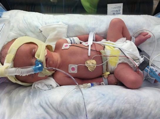 Jaxon Taylor Savoy - Photo 86