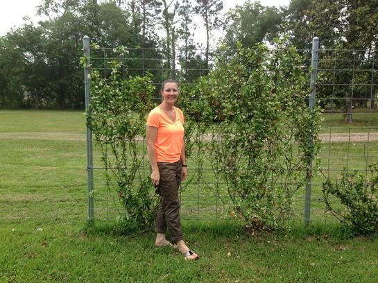 Neisha Michele Hamilton — photo 80