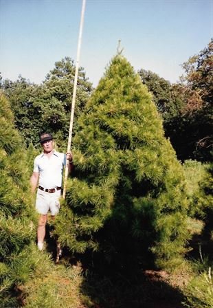 Berchman "Bert" Lee Reaves - Photo 84