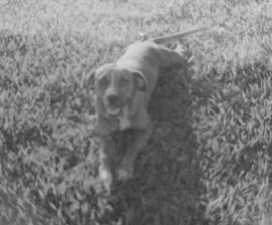 David "Dave" Lee Smith - Photo 2