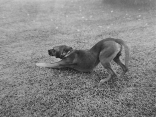 David "Dave" Lee Smith - Photo 88