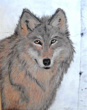 Ellen T. Boyle Curtis - Photo 14