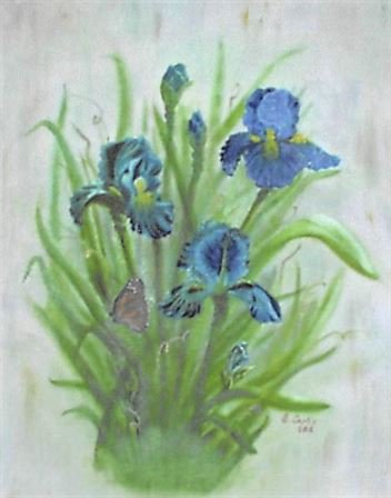 Ellen T. Boyle Curtis - Photo 23