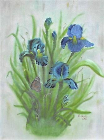 Ellen T. Boyle Curtis - Photo 33