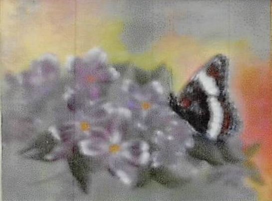 Ellen T. Boyle Curtis - Photo 35