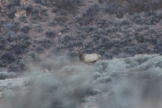 Robert Baca - Photo 94