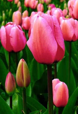 Margie Fontenot Bean - Photo 55