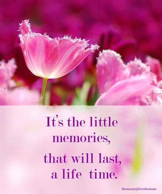 Laurel Daniels - Photo 16