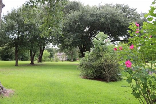 David Scott Young - Photo 21