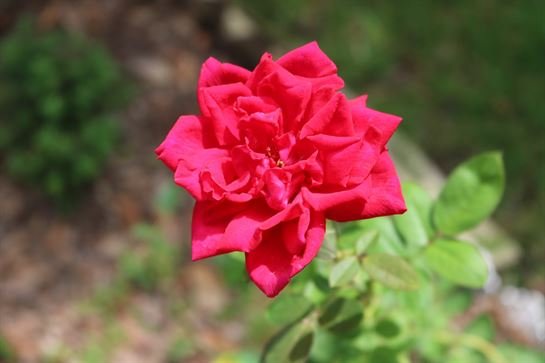 David Scott Young - Photo 29