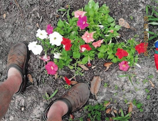 David Scott Young - Photo 138