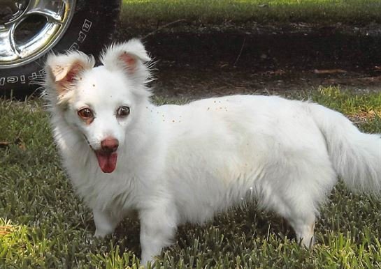 David Scott Young - Photo 189