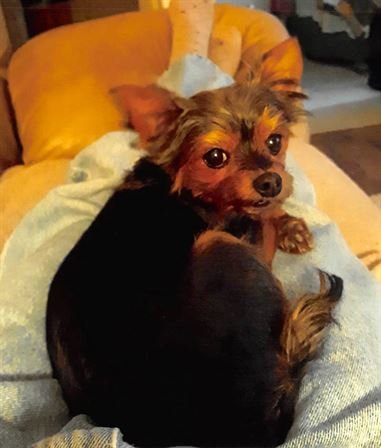 John Charles Cardner - Photo 67