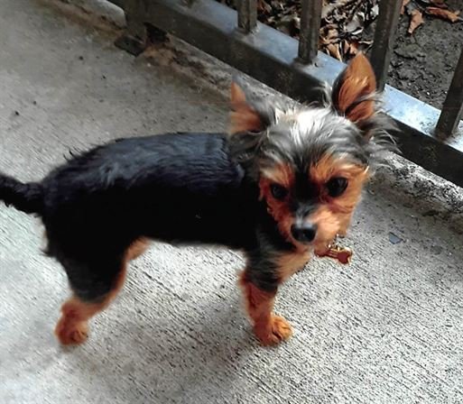 John Charles Cardner - Photo 179