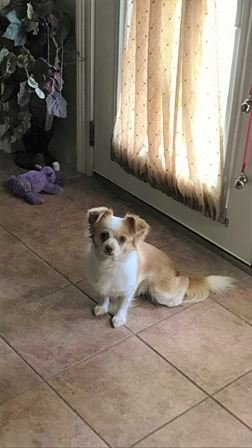 Ray Leleux — photo 57