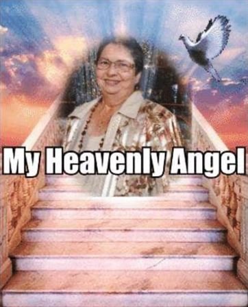 Ray Leleux — photo 88