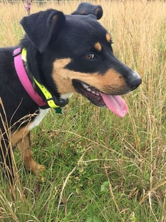 Ronnie Glen Burton - Photo 39