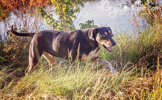 Ronnie Glen Burton - Photo 71