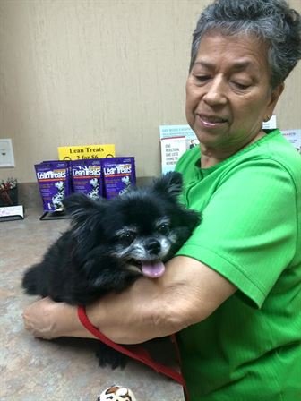 Beatrice Orta Chesson - Photo 96