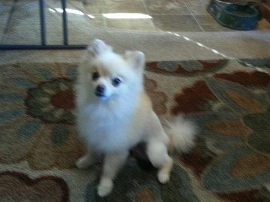 Alice Elaine White - Photo 23