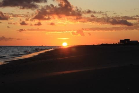 Alice Elaine White - Photo 24