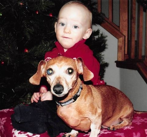 Alice Elaine White - Photo 105