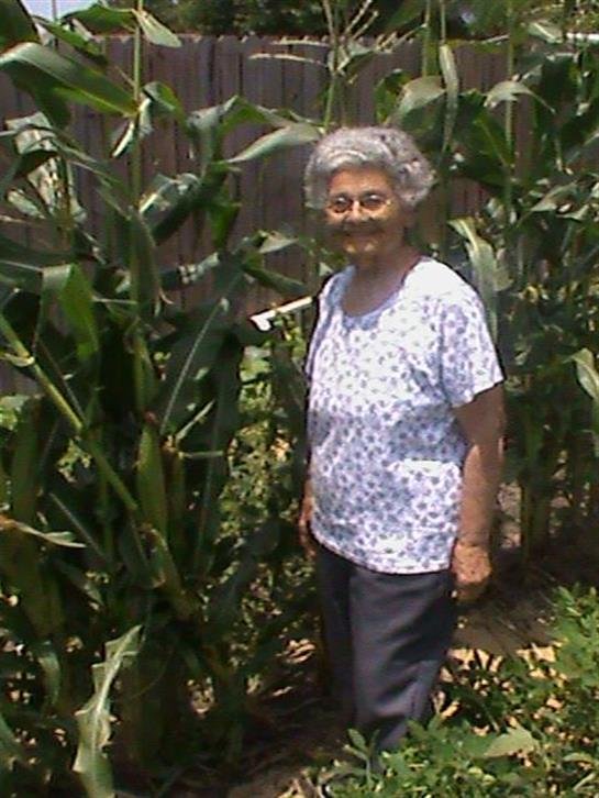 Congetta Barbara Osborne - Photo 8