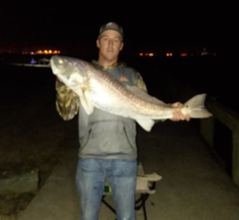 Shirley Louise Cloud - Photo 4