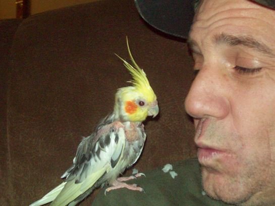 Darren Wynn Burge - Photo 100