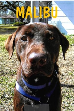 Paul Daniel Moberg - Photo 38