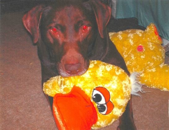 Paul Daniel Moberg - Photo 51