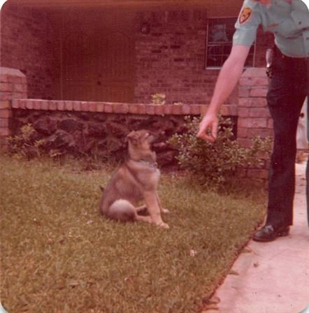 Richard Donald Waddell Jr - Photo 10