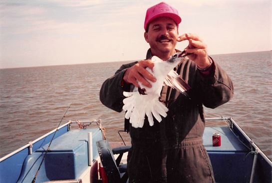 Mark Stevens Braus - Photo 13