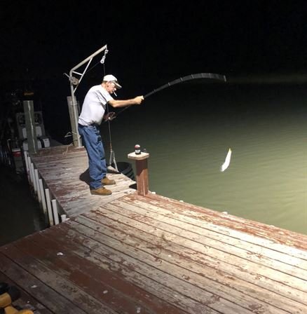 Mark Stevens Braus - Photo 72