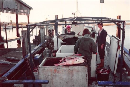 Mark Stevens Braus - Photo 102