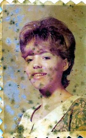 Pam Nonie Diemer - Photo 48