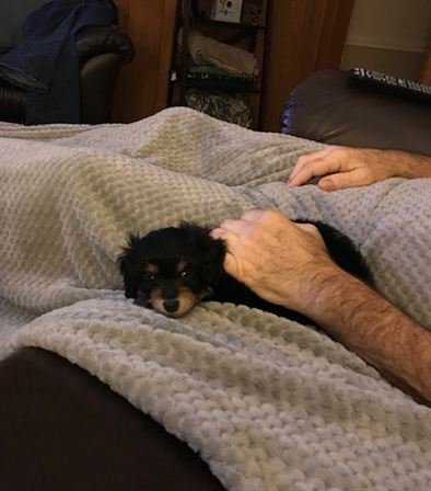 James Samuel "Jimmy" Carter, III - Photo 51