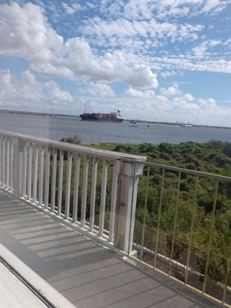 Harvey Glen Sterling - Photo 14